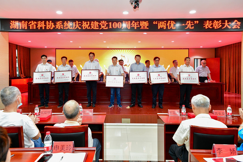 献礼建党100年—湖南省交通工程学会被评为2020-2021年度湖南省科协所属学会先进基层党组织